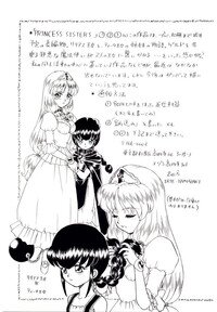 [IRIE YAMAZAKI] Princess File - Page 192