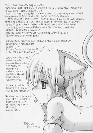 (C69) [B-CREWS (Karen Kyuu, Shido Mayuru)] Hayate o Ijimenaide (Hayate no Gotoku!) - Page 19