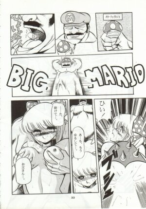 (CR15) [Circle Taihei-Tengoku (Horikawa Gorou)] Super Mario Collection (Super Mario Brothers) - Page 29