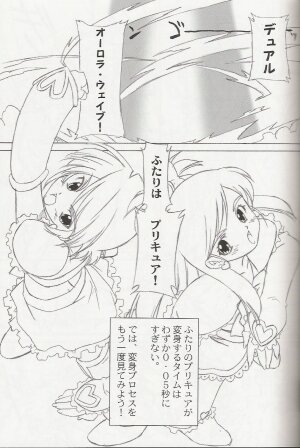 (C66) [OHTADO (Oota Takeshi)] Pretty x Pretty (Futari wa Precure [Pretty Cure]‎) - Page 4