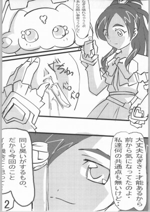 (SC24) [Tetsunari Doujou (Tetsunari)] suki kamo (Futari wa Precure) - Page 11