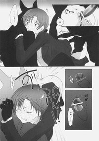 (C70) [Gokudoudaigensui] Katen Gecchi (Fate/hollow ataraxia) - Page 17