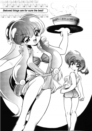 (C61) [... Mou Ii Desu. (Jinmu Hirohito)] DX Deluxe Chuuka Sanmai (Ranma 1/2) [English]  [Mr Ripper] - Page 5