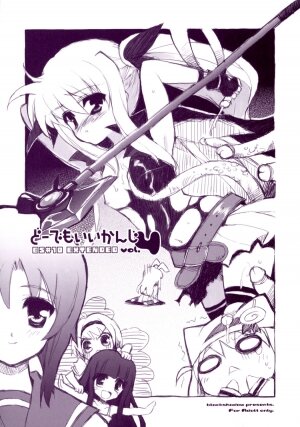 (C70) [Black Shadow (Sacchi)] BS#10 EXTENDED Do demo ii kanji vol.4 (Mahou Shoujo Lyrical Nanoha)