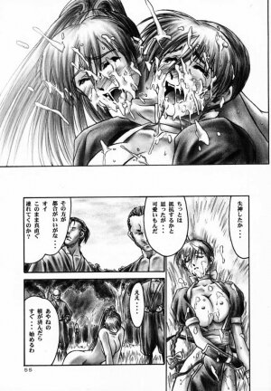 (C59) [Hellabunna (Iruma Kamiri)] INU/AO Preface (Dead or Alive) - Page 55
