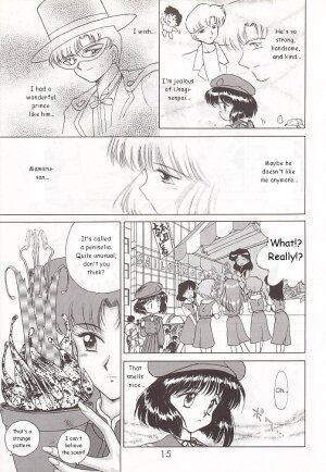 (C58) [BLACK DOG (Kuroinu Juu)] GOLD EXPERIENCE (Bishoujo Senshi Sailor Moon) [English] - Page 14