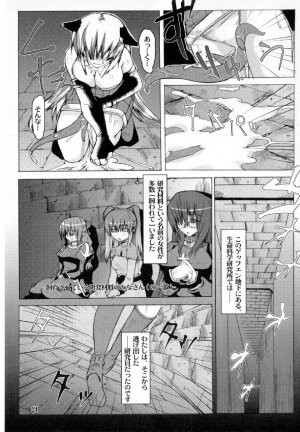 [Blazing Star (Terry Hijiri)] LITTLE BRAVER DUE (Ragnarok Online) - Page 21