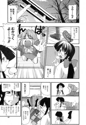 [Kikkawa Kabao] Panicle Chronicle - Page 42