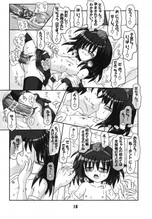 (SC30) [Schwester (Inasaki Shirau)] Rollin 22 (Touhou Project) - Page 17