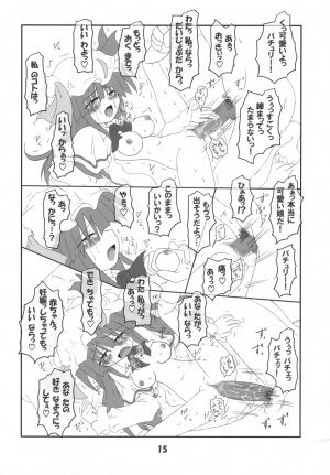 (SC28) [Schwester (Inasaki Shirau)] Rollin 18 (Touhou Project) - Page 14