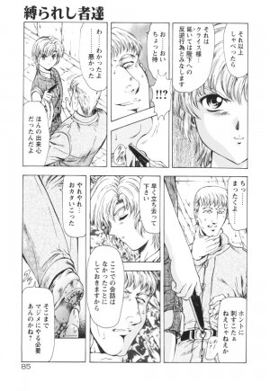 [Mukai Masayoshi] Guilty Sacrifice [Kanketsuhen] - Page 90