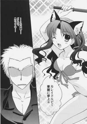 (C72) [C.A.T (Morisaki Kurumi)] RED/II (Fate/stay night) - Page 18