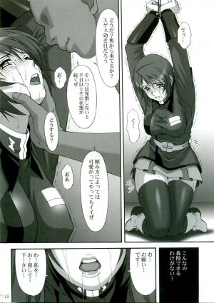 (C68) [AKKAN-Bi PROJECT (Yanagi Hirohiko)] RED BRAVO (Mobile Suit Gundam Seed Destiny) - Page 14