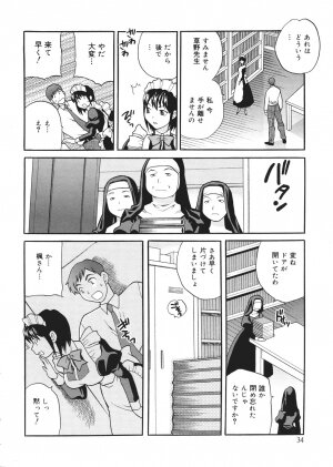 [Yukiyanagi] Seijo Gakuen ~Solvielle no Densetsu~ (Saint Woman education institution) - Page 35
