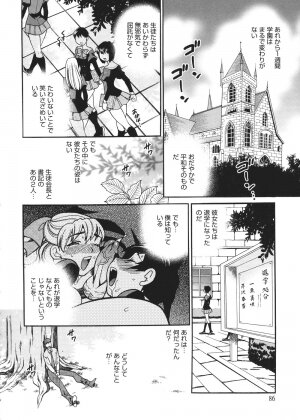 [Yukiyanagi] Seijo Gakuen ~Solvielle no Densetsu~ (Saint Woman education institution) - Page 87