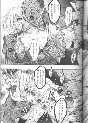 [FAKESTAR (Miharu)] CHAOS STEP 1+2 (Hellsing) - Page 36