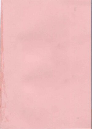 [Azuma Tesshin] Pink no Ana - Hole of Pink - Page 194
