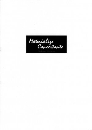 (C69) [Crank.In (Mizutani Tooru)] Materialize Concertante (Final Fantasy XI) - Page 3