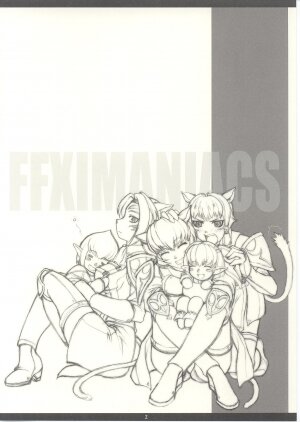 (C67) [PHANTOMCROSS (Miyagi Yasutomo)] FFXIMANIACS INCOMPLETE EDITION (Final Fantasy XI) - Page 2