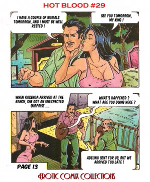 Hot Blood # 29 – Andres Cruz (Erotic Comix) - Page 15