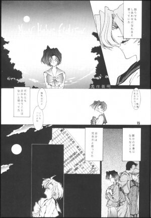 (C45) [Gyokusaidan (Mimasaka Hideaki)] CRY (Sailor Moon) - Page 14