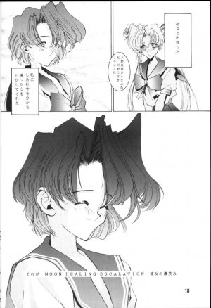 (C45) [Gyokusaidan (Mimasaka Hideaki)] CRY (Sailor Moon) - Page 17