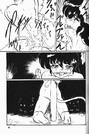 [Dark Zone] Anima Returns (Ranma 1/2) - Page 43