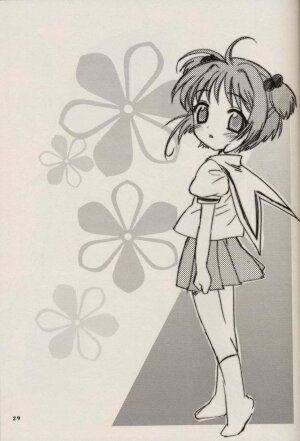 (C64) [Nagisawaya (Nagisawa Yuu)] CHERRY BLOSSOM (Card Captor Sakura) - Page 29