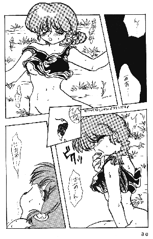 [Dark Zone] Anima (Ranma 1/2) - Page 29