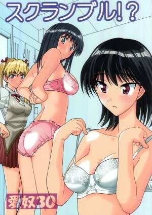 [AB NORMAL (NEW AB)] Aido 30 Scramble! (School Rumble)