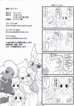 (C71) [FREAKS (Mike, Onomeshin)] Bakunyuu Ionazun (Dragon Quest III) - Page 29