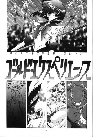 (C58) [BLACK DOG (Kuroinu Juu)] GOLD EXPERIENCE (Bishoujo Senshi Sailor Moon) - Page 2