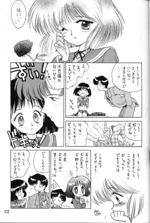 (C58) [BLACK DOG (Kuroinu Juu)] GOLD EXPERIENCE (Bishoujo Senshi Sailor Moon) - Page 24