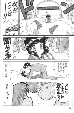 (C58) [BLACK DOG (Kuroinu Juu)] GOLD EXPERIENCE (Bishoujo Senshi Sailor Moon) - Page 27