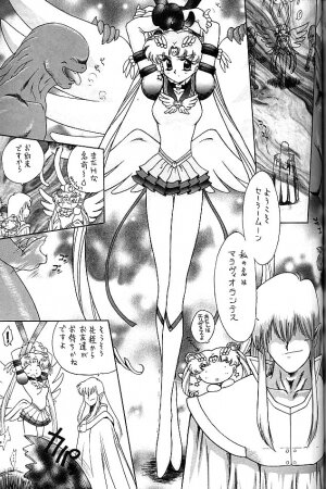 (C58) [BLACK DOG (Kuroinu Juu)] GOLD EXPERIENCE (Bishoujo Senshi Sailor Moon) - Page 116