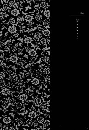 (C61)[Hellabunna (Iruma Kamiri)] INU/AO Posterior (Dead or Alive) - Page 3