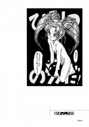 (C45) [UROBOROS (Various)] PARASELENE (Bishoujo Senshi Sailor Moon) - Page 3