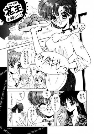 (C45) [UROBOROS (Various)] PARASELENE (Bishoujo Senshi Sailor Moon) - Page 16