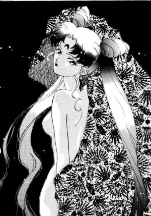 (C45) [UROBOROS (Various)] PARASELENE (Bishoujo Senshi Sailor Moon) - Page 27