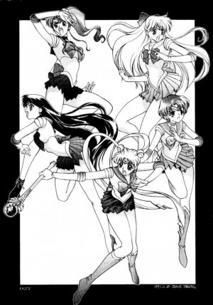 (C45) [UROBOROS (Various)] PARASELENE (Bishoujo Senshi Sailor Moon) - Page 28
