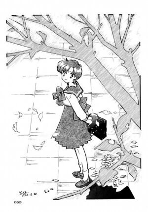 (C45) [UROBOROS (Various)] PARASELENE (Bishoujo Senshi Sailor Moon) - Page 56