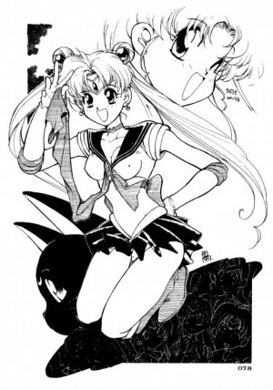 (C45) [UROBOROS (Various)] PARASELENE (Bishoujo Senshi Sailor Moon) - Page 79