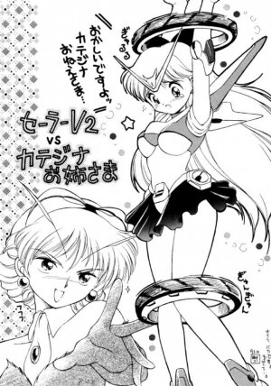 (C45) [UROBOROS (Various)] PARASELENE (Bishoujo Senshi Sailor Moon) - Page 88