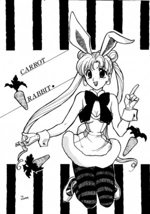 (C45) [UROBOROS (Various)] PARASELENE (Bishoujo Senshi Sailor Moon) - Page 95
