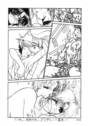 (C45) [UROBOROS (Various)] PARASELENE (Bishoujo Senshi Sailor Moon) - Page 106