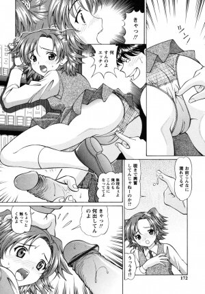 [Tukimi Daifuku] Jidaraku na Shukujo - Page 170