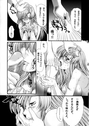 (C68) [Tsurikichi Doumei (Various)] Nantoka SEED - Death Tte Ne (Kibou) (Gundam Seed Destiny) - Page 89