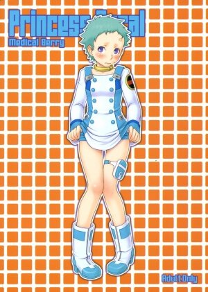 (C69) [Medical Berry (ha-ru)] Princess Coral (Eureka Seven) - Page 23