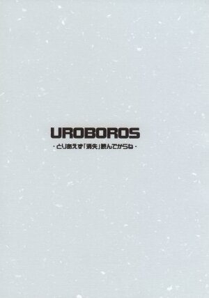 (C70) [UROBOROS (Utatane Hiroyuki) ] Toriaezu 