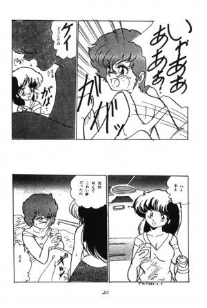 [Ashanti] RABBIT CARNIUAI (Dirty Pair) - Page 19